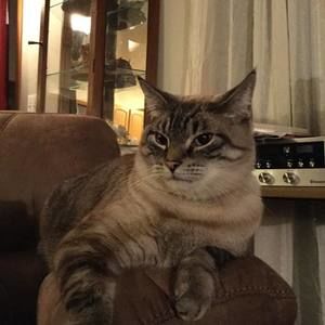 Meet your Posher, Brenda